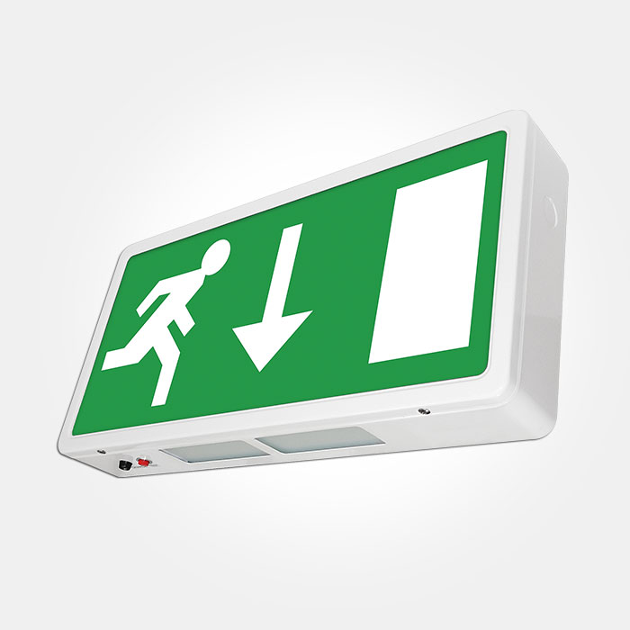 HSEM/LEDEBD Eterna 5W LED Emergency Exit Sign Box with Down Arrow FR IP20 Box
