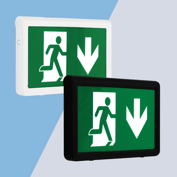 2W-emergency-exit-box-product-pic