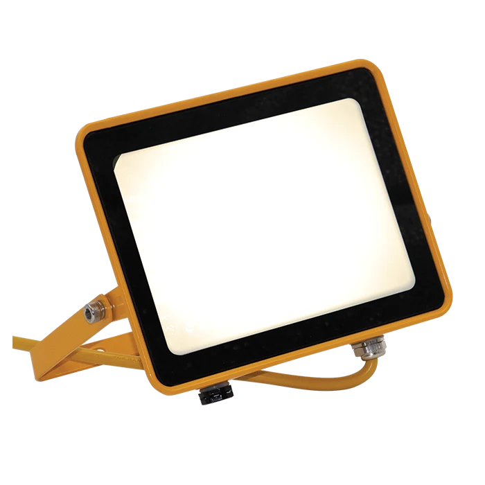 110v-floodlight-on