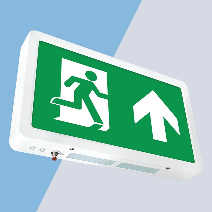 seexitli-product-pic