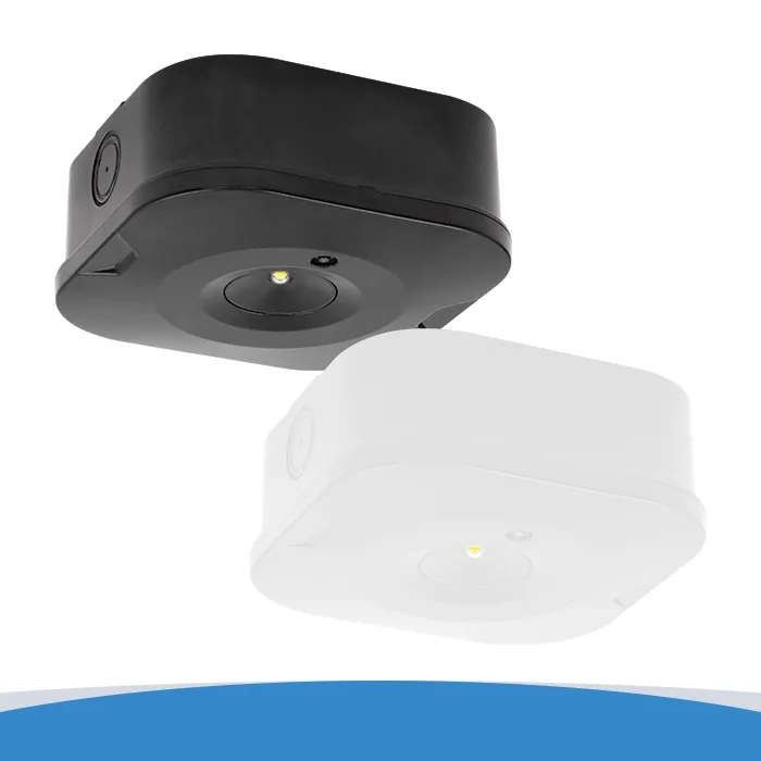 Surface mounted emergency downlight