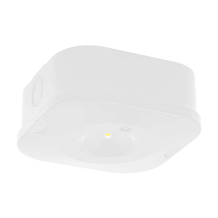 surface-mounted-emergency-downlights-white