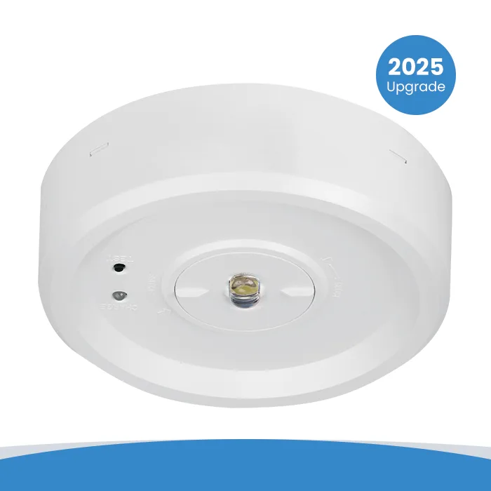 sesmdlem3 emergency downlight